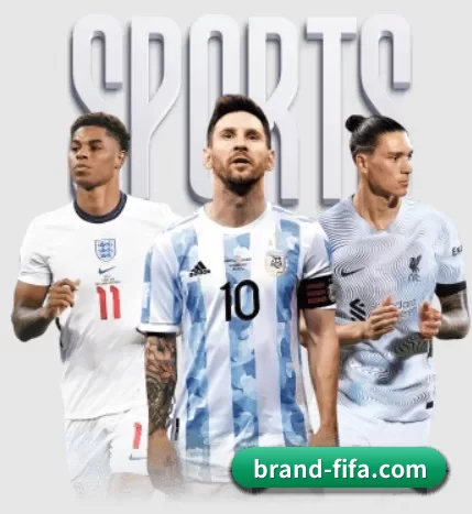 brand-fifa.com APP（worldcup）