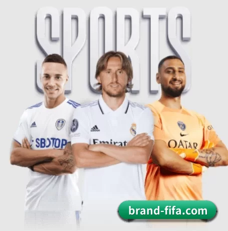 brand-fifa.com APP 界面 | worldcup